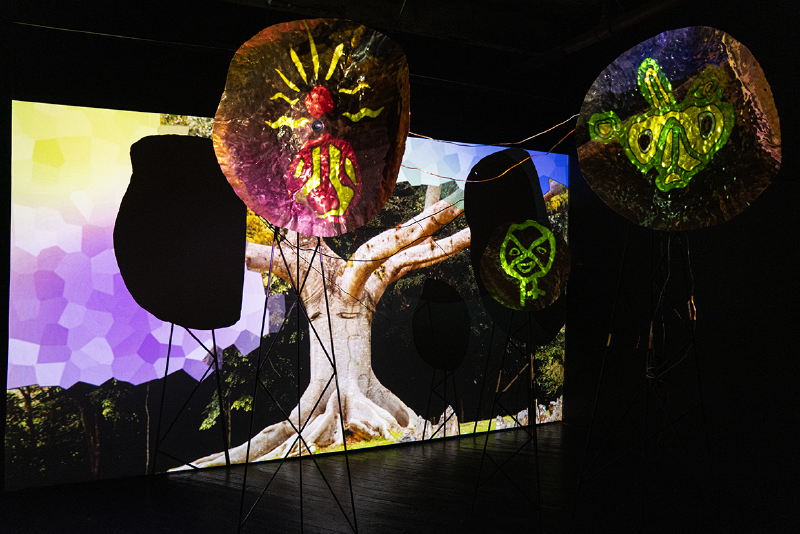 Raúl Romero, Transmissions of Transcendental Aspirations