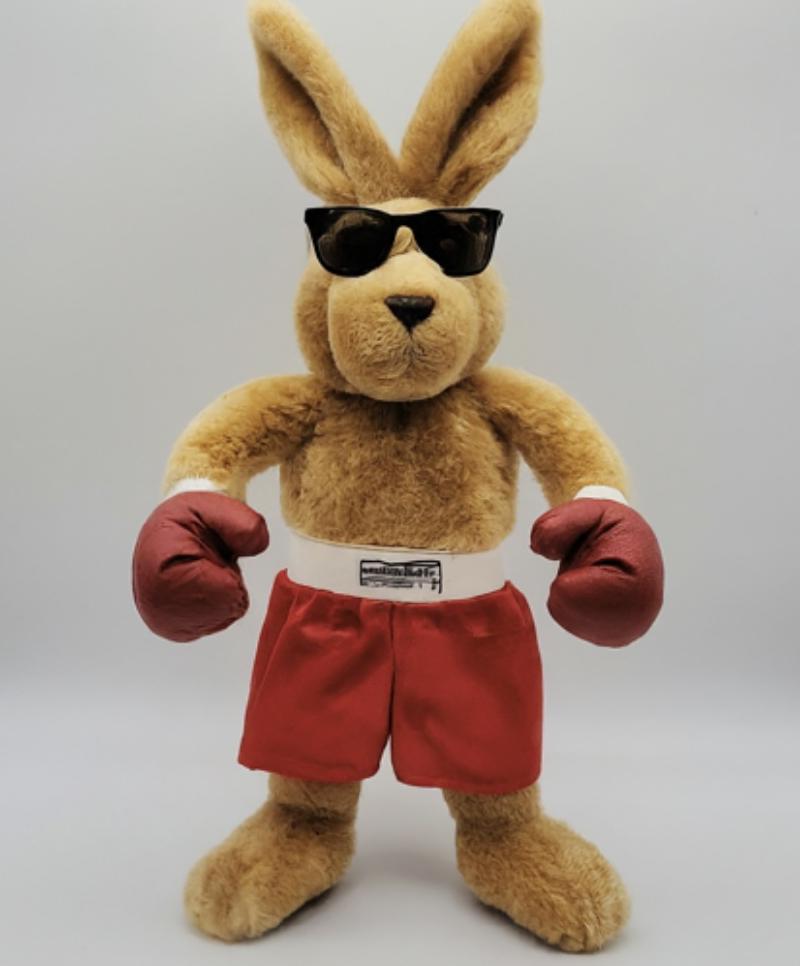 Boxing Bunny Image made with Google Gemini