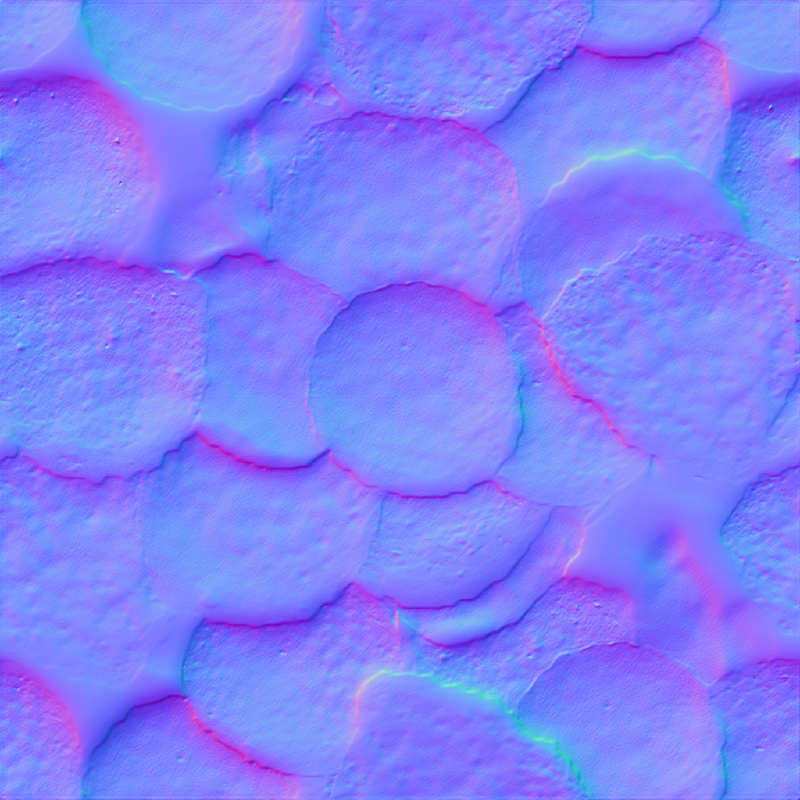 Shell Texture Normal Map