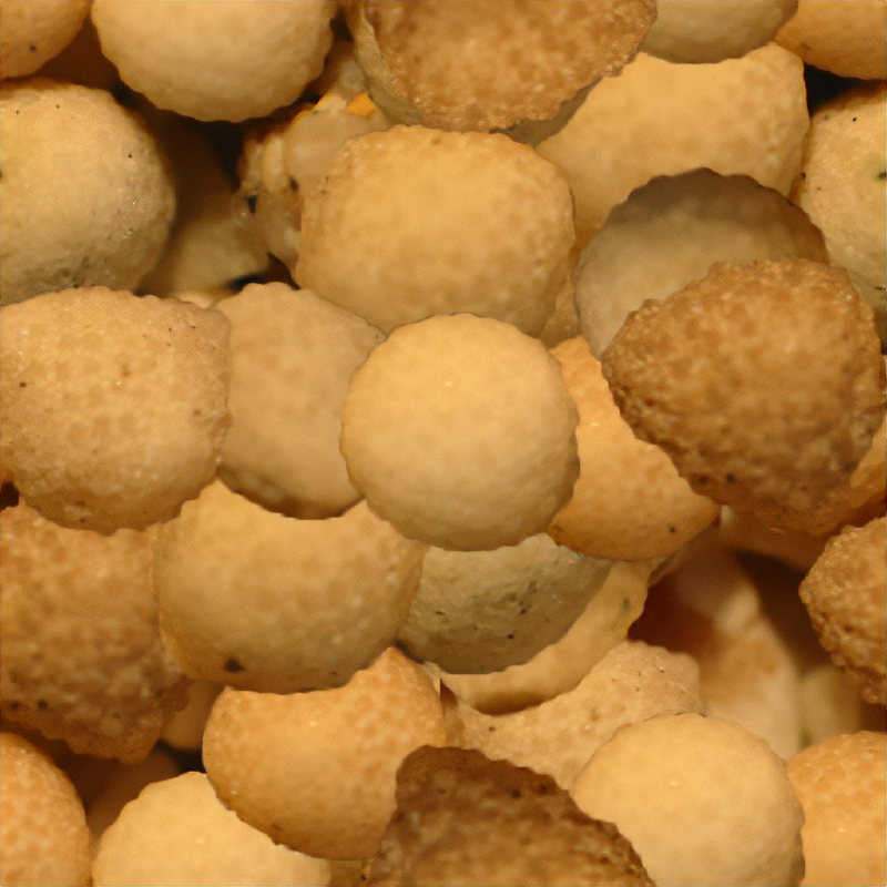 Shell Texture