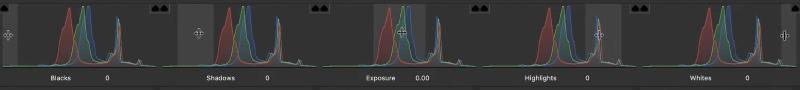 Camera Raw Histogram