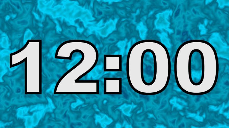 12 Minute Timer
